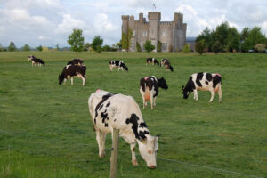 Castle In Ireland 01
