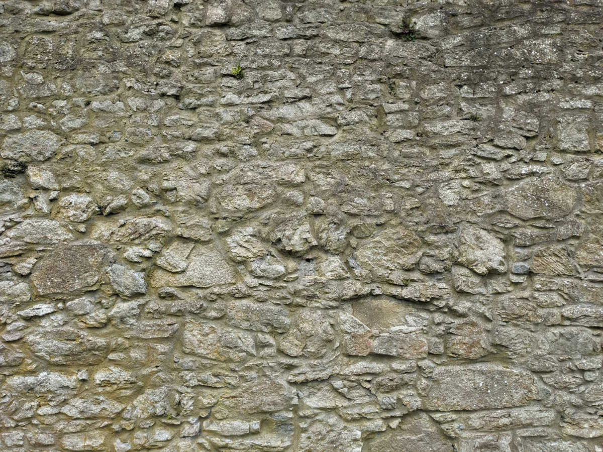 Sheela Na Gig